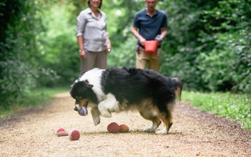 Artikel Traumatherapie Zwei Menschen und ein Hund