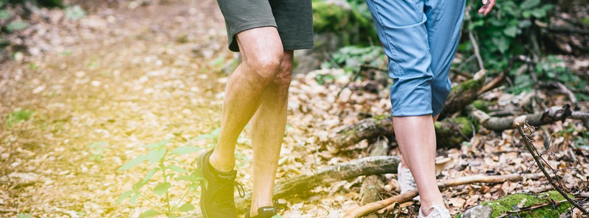 Metakognitives Training Metakognitives Training mkt