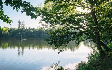 Logotherapie Logotherapie