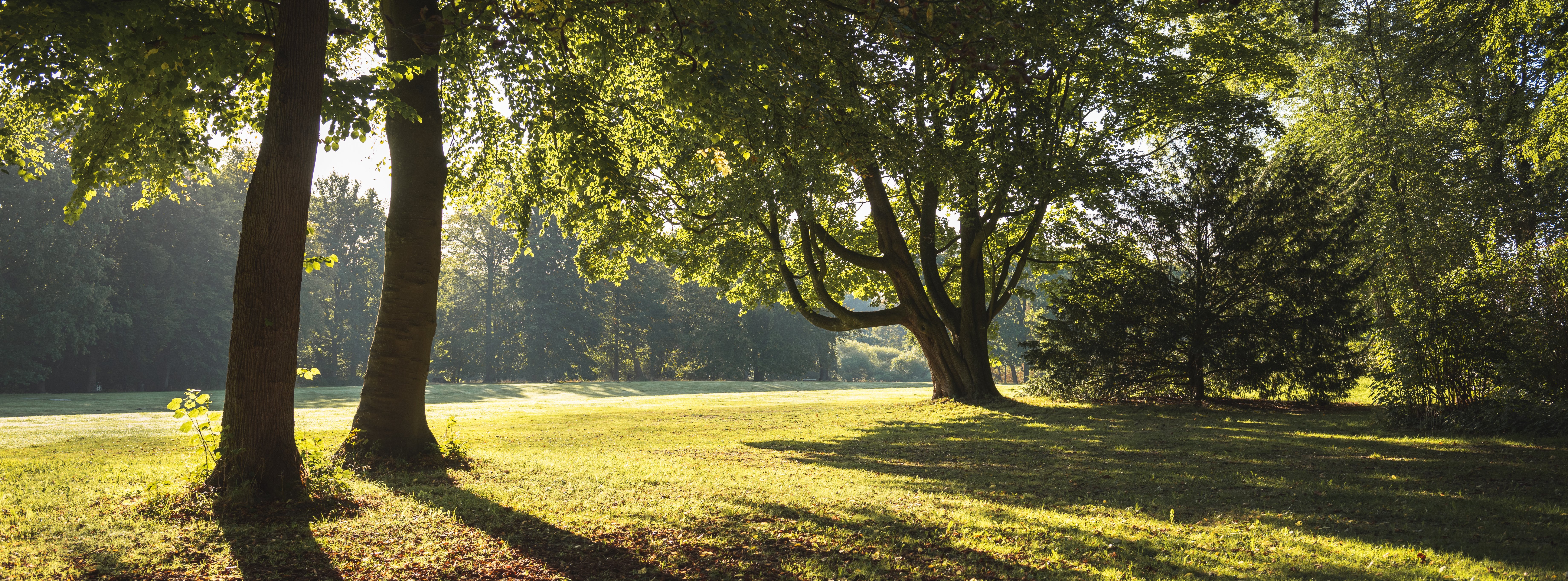 Oberberg Energieeffizienz Oberberg Energieeffizienz
