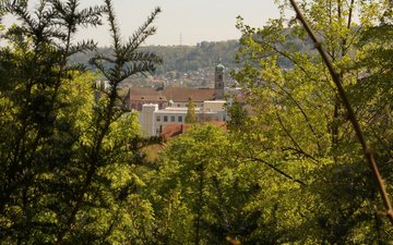 waldbaden bad säckingen