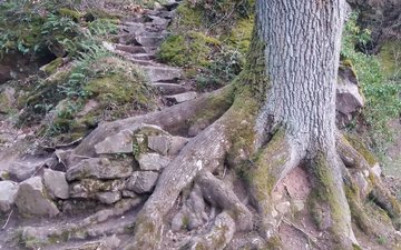 naturtherapie naturtherapie