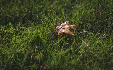 Alkoholsucht im Profisport Alkoholsucht im Profisport