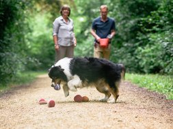Winterblues Teil II: Bewegung Artikel Winterblues Frau und Mann mit Hund