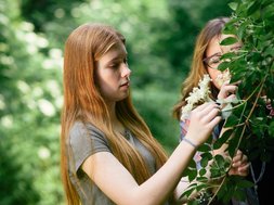 angehörige von depressiven angehörige von depressiven