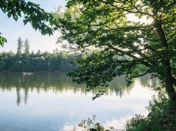 Logotherapie Logotherapie