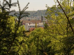 waldbaden bad säckingen