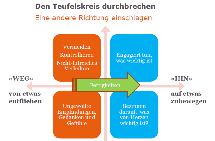 sinn-suchen-entdecken-verwirklichen-logotherapie-und-akzeptanz-und