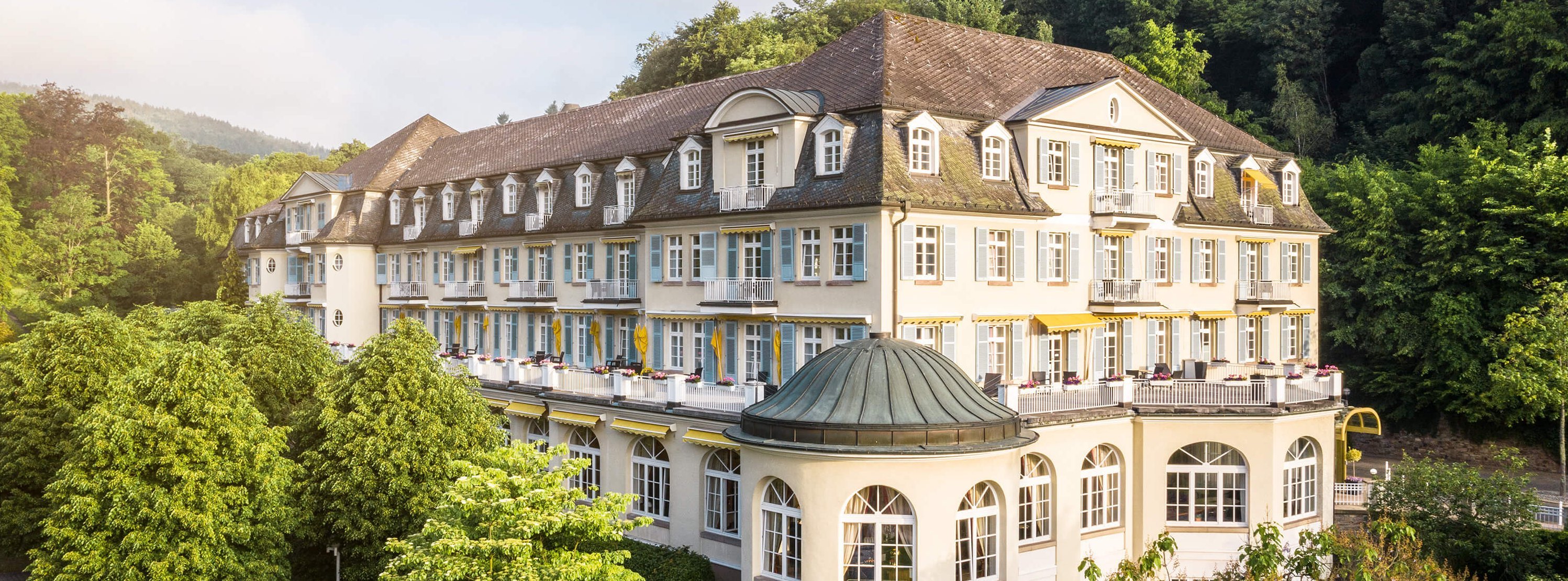 Oberberg Fachklinik Schlangenbad Außenansicht mit Wald im Hintergrund