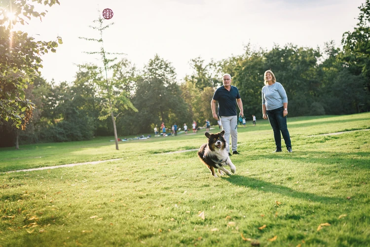 Zwei Personen gehen mit einem Hund &uuml;ber eine Wiese vor dem Klinikgeb&auml;ude