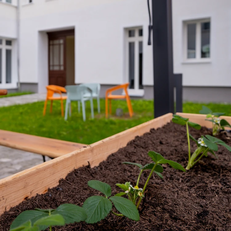 Hochbeet im Innenhof der Oberberg Fachklinik Fasanenkiez Berlin