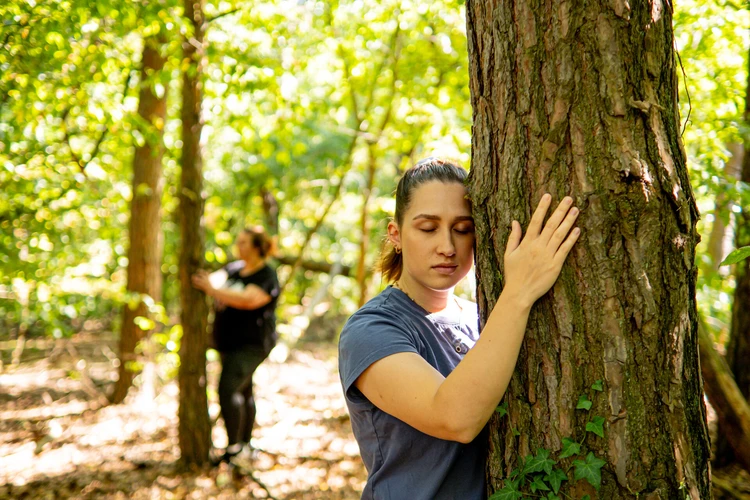 Personen bei einer Achtsamkeits&uuml;bung im Wald