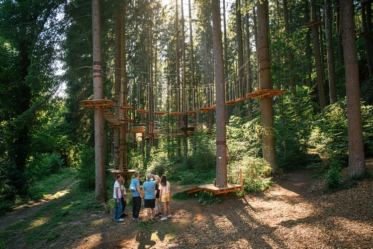 Personen stehen in einem Hochseilgarten im Wald