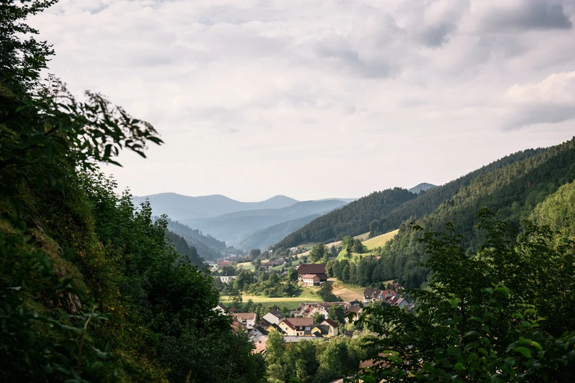 Blick auf eine Ortschaft im Schwarzwaldtal